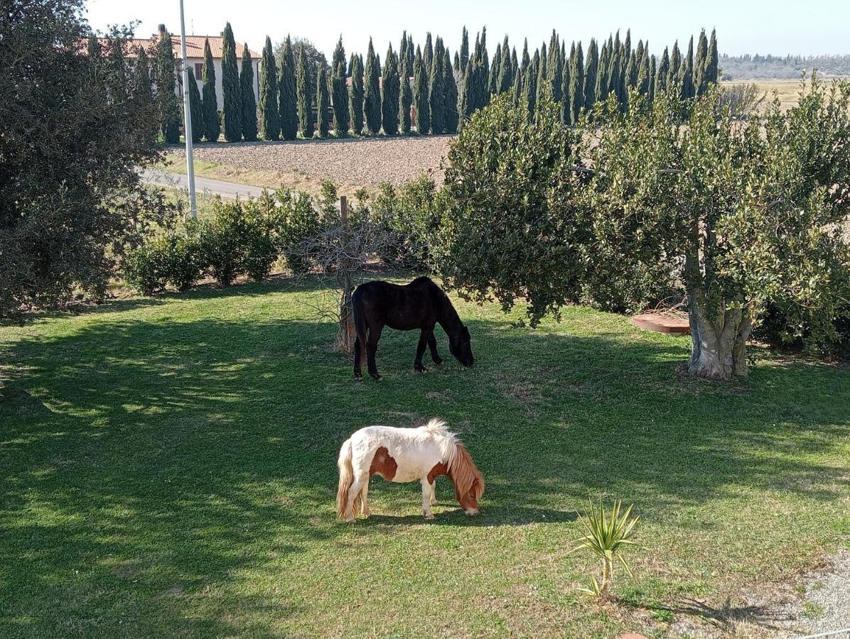 Agriturismo Lungo Albegna Manciano Exterior foto